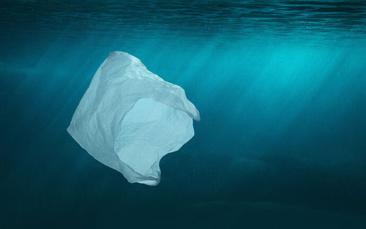 The Environment Agency – Abu Dhabi Announces Ban on Single-Use Plastic Bags from June 2022