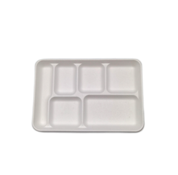 Ecozoe - 50 pcs - Disposable Rectangular 6-Compartment Tray, Bagasse, Biodegradable, Sustainable, Ecofriendly
