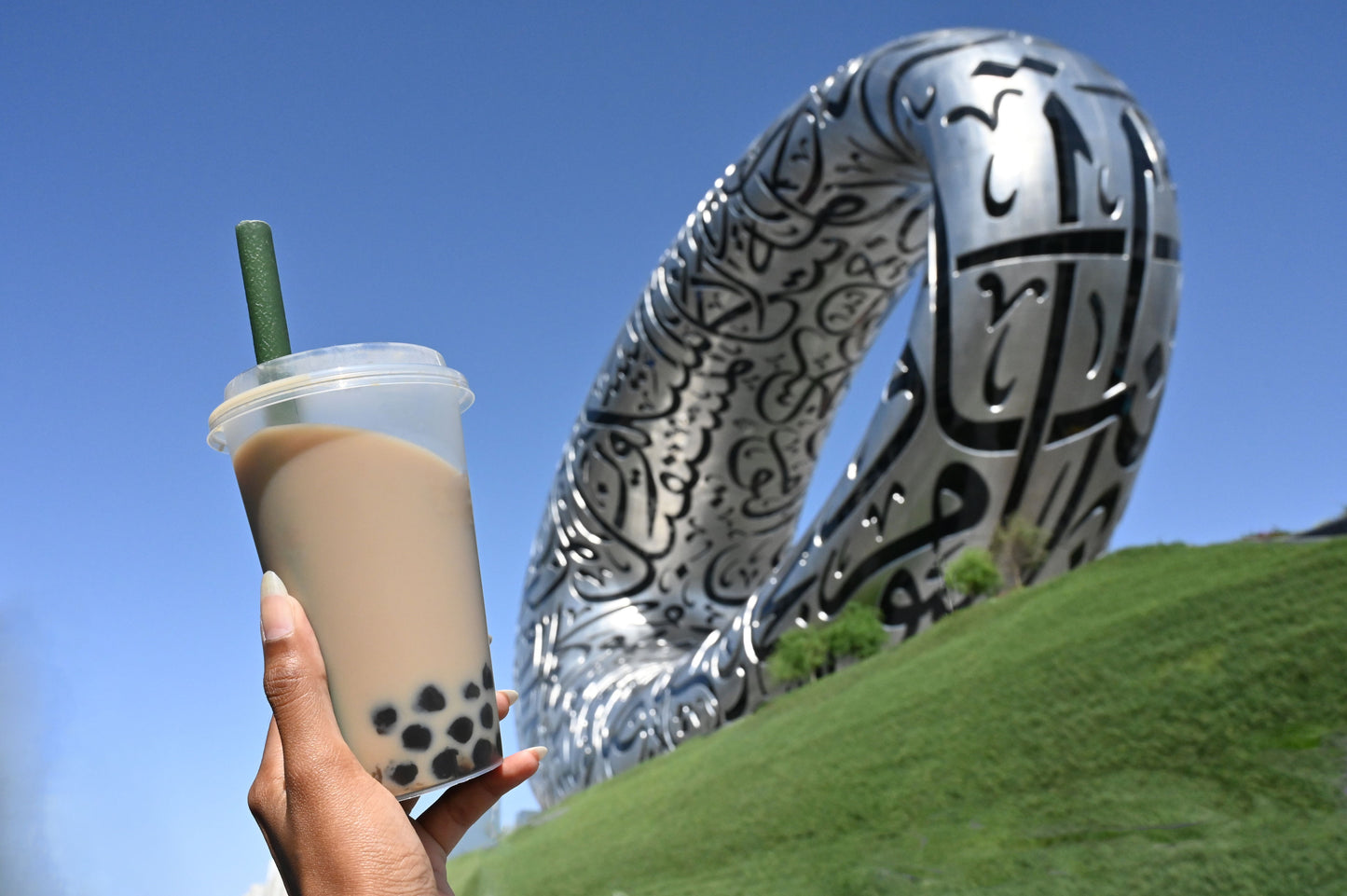 13mm, Biodegradable Drinking Straws, for Bubble Tea / Thickshakes - Black - Individually Wrapped