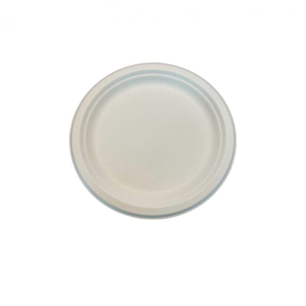 Ecozoe - 25 pcs - Disposable Round Plates 9", Bagasse,Biodegradable, Sustainable, Ecofriendly