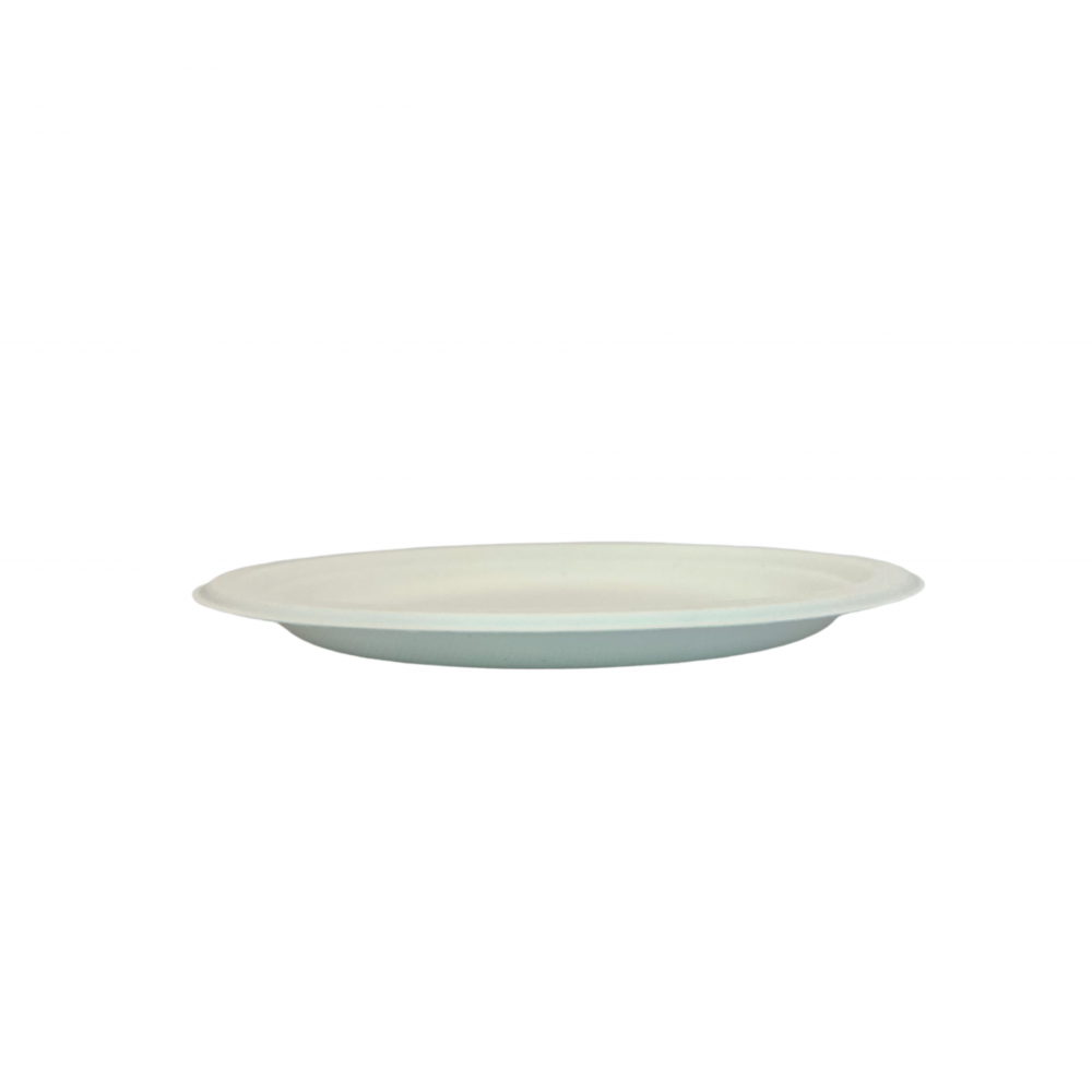 Ecozoe - 25 pcs - Disposable Round Plates 9", Bagasse,Biodegradable, Sustainable, Ecofriendly