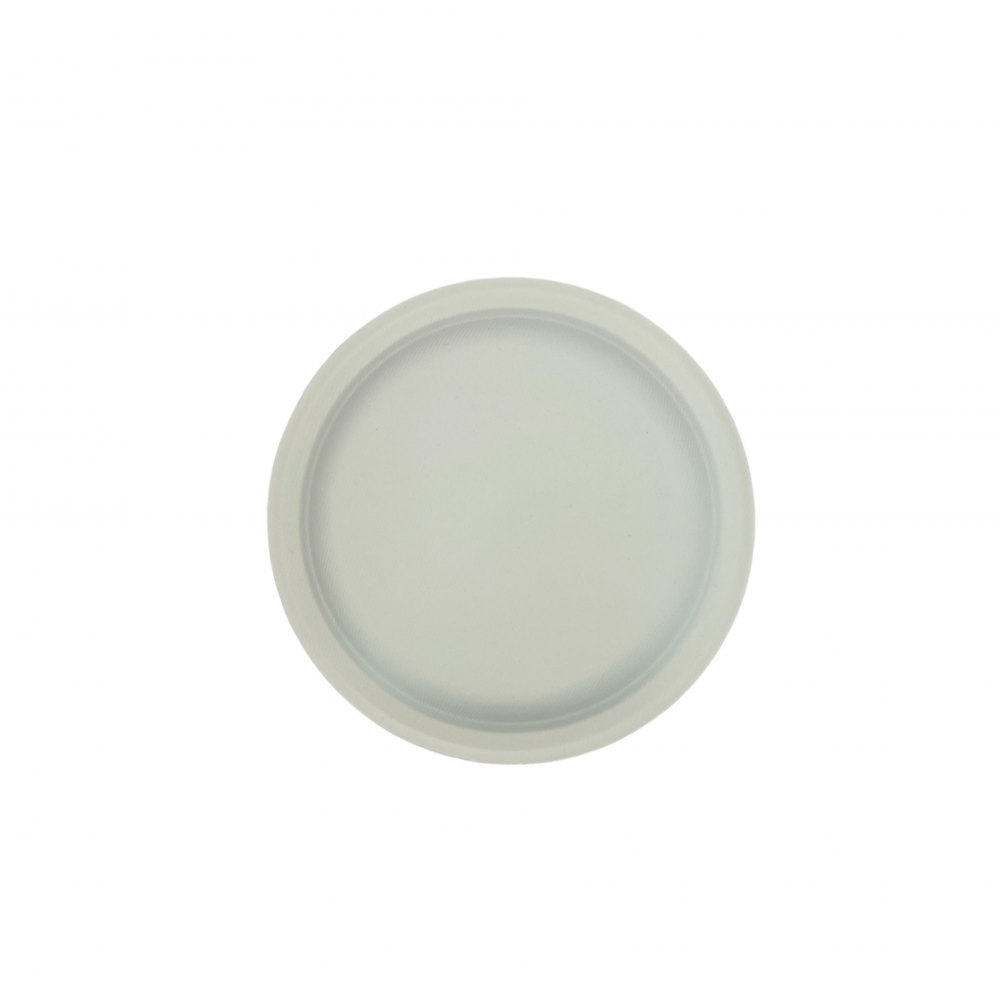 Ecozoe - 25 pcs - Disposable Round Plates 9", Bagasse,Biodegradable, Sustainable, Ecofriendly