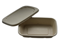 Ecozoe - 50 pcs - Disposable 790ml Rectangular Box, Bagasse, Biodegradable, Sustainable, Ecofriendly