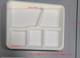 Ecozoe - 50 pcs - Disposable 5-Comparment Tray, Bagasse, Biodegradable, Sustainable, Ecofriendly